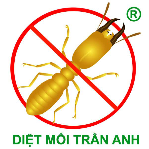 Diệt Mối Cần Thơ